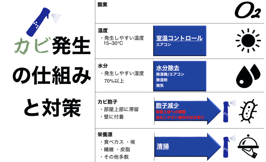 かび発生の仕組み